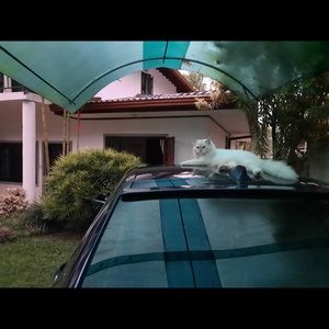 Meet your Posher, Shanika